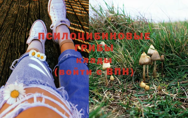 шишки Бронницы