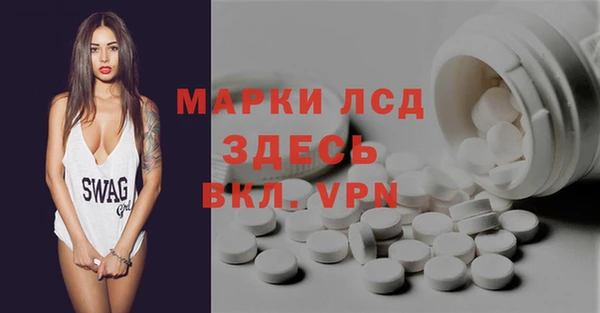 стафф Бородино