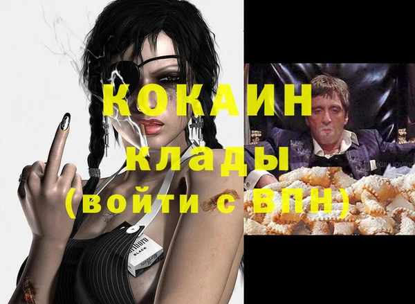 стафф Бородино