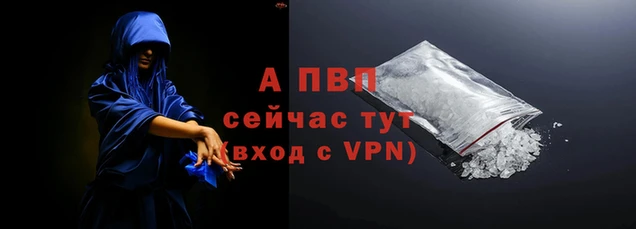 стафф Бородино