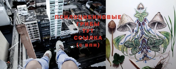 стафф Бородино