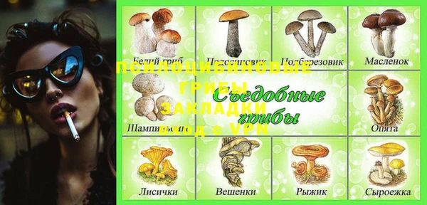 шишки Бронницы