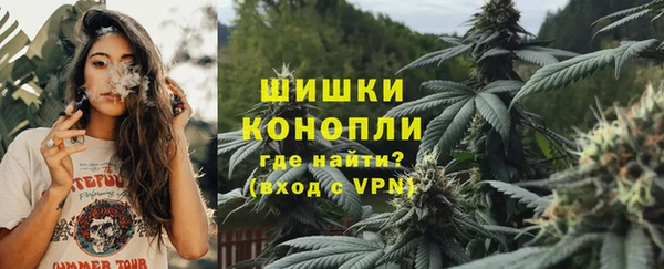шишки Бронницы