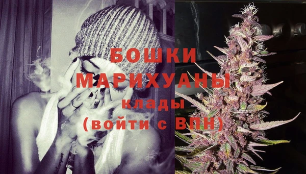 шишки Бронницы