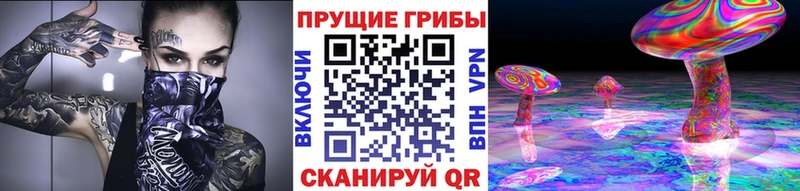 blacksprut ссылка  как найти наркотики  Семёнов  Галлюциногенные грибы Cubensis 
